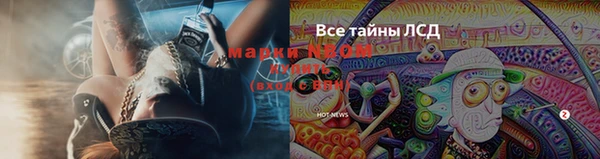 ПСИЛОЦИБИНОВЫЕ ГРИБЫ Семилуки