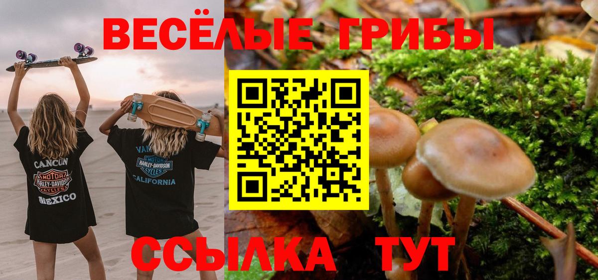 Тутаев  Галлюциногенные грибы ЛСД  Вход с VPN  Галлюциногенные грибы Magic Shrooms 