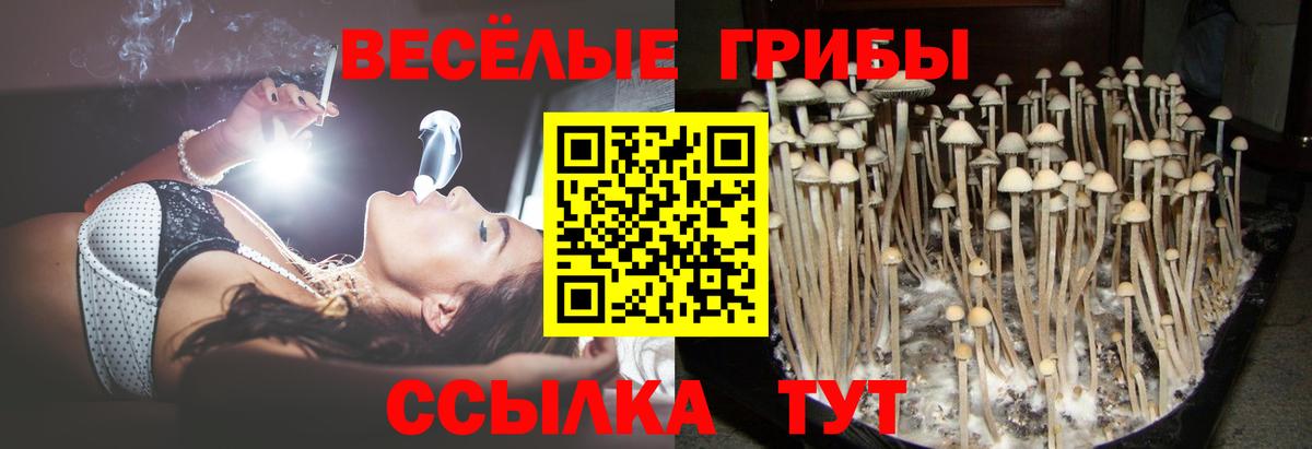 Галлюциногенные грибы прущие грибы Тутаев